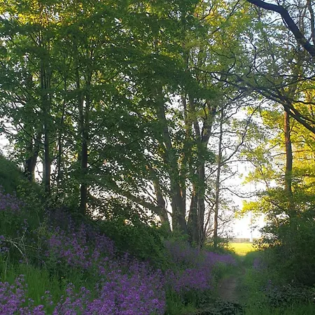 Familie Lange, Bis 8 Personen *