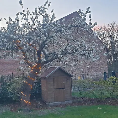 Familie Lange, Bis 8 Personen