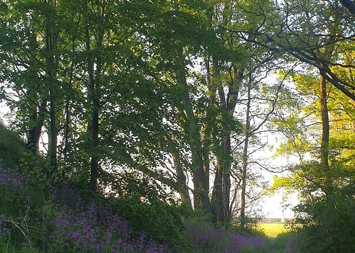 Familie Lange, Bis 8 Personen *