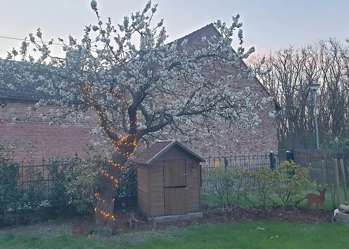 Familie Lange, Bis 8 Personen
